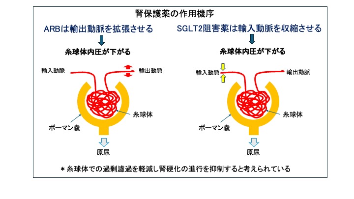 腎臓内科の写真(東京都豊島区)